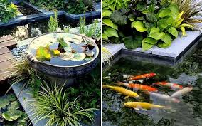 Most effective method to Buy a New Garden Pond Pump in Easy Steps